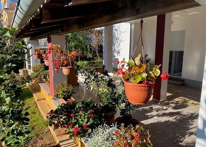 Grgurevic * Πούλα