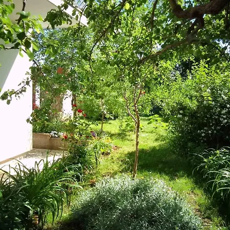 Grgurevic Lejlighed *