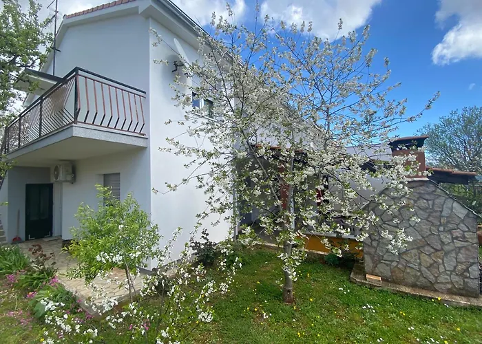 Grgurevic Apartman *